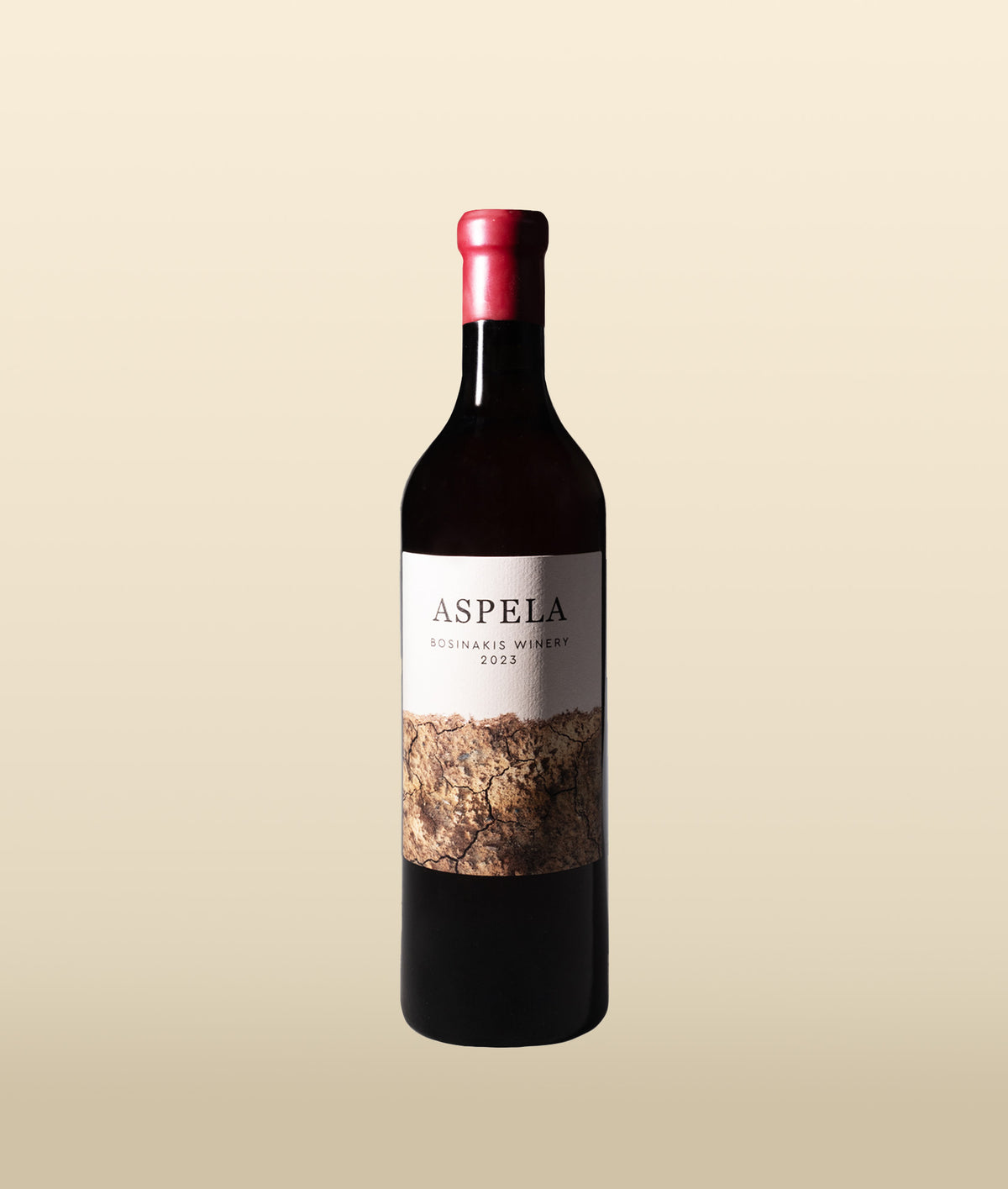 Aspela 2024