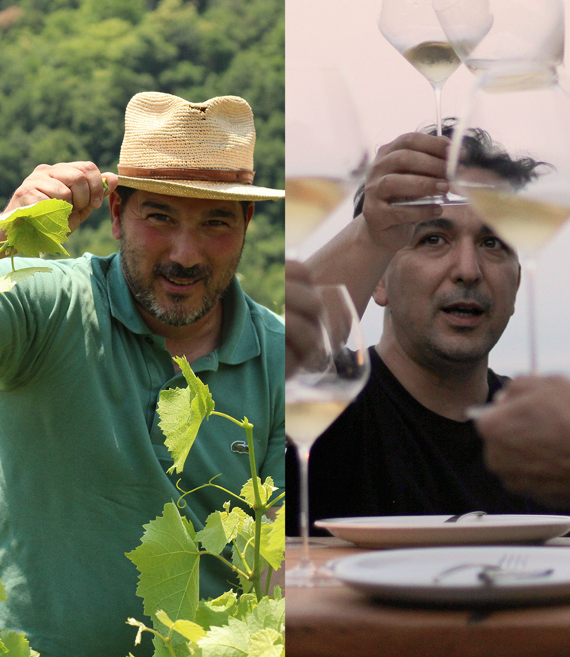Papadopoulos Viticulture
