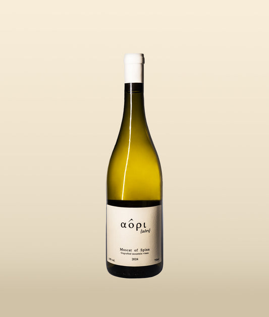 Muscat of Spina 2025