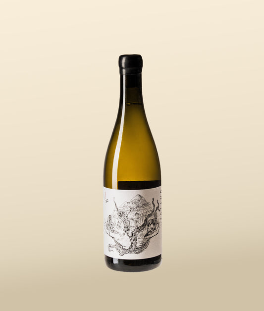 Old Vines Rhea 2025
