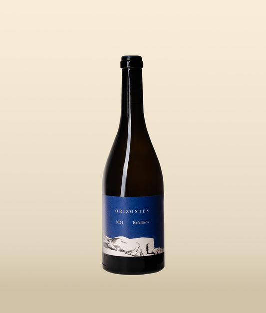 Orizontes 2024