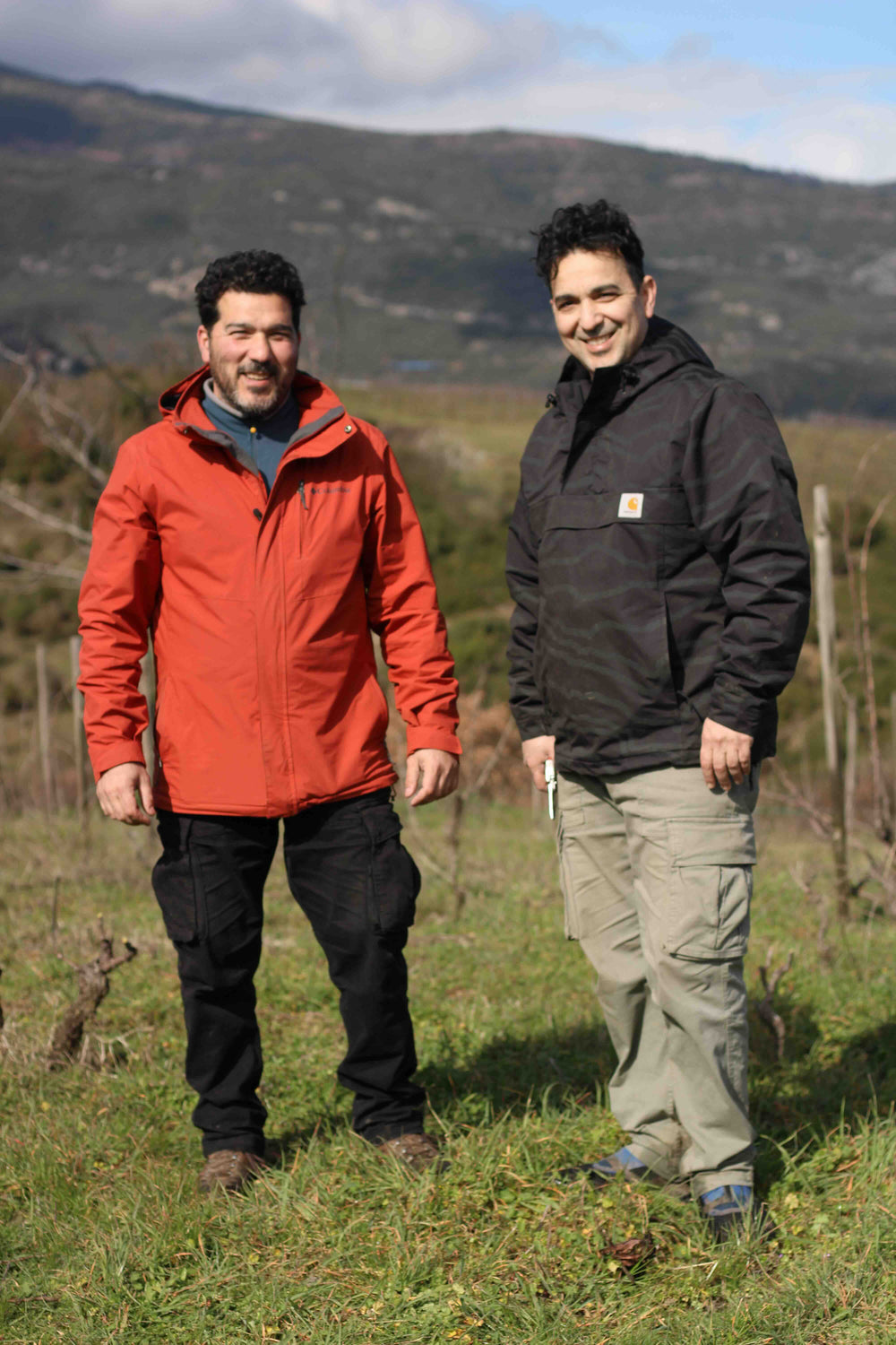 Papadopulos Viticulture